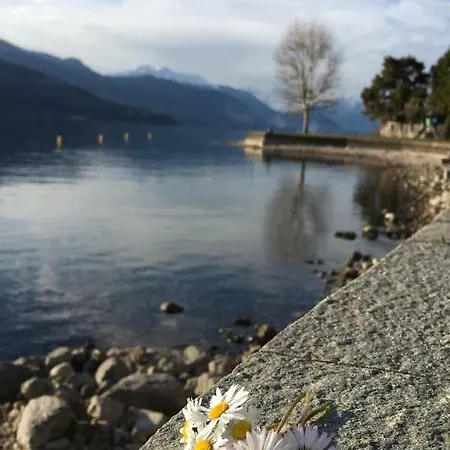 La Rosa Del Frühstückspension Reno Di Leggiuno