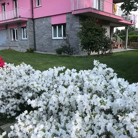 La Rosa Del *